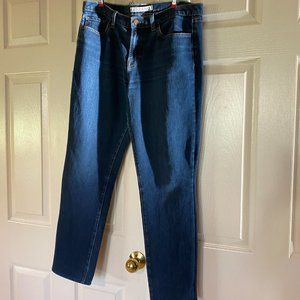 J Brand Designer Denim Size 31